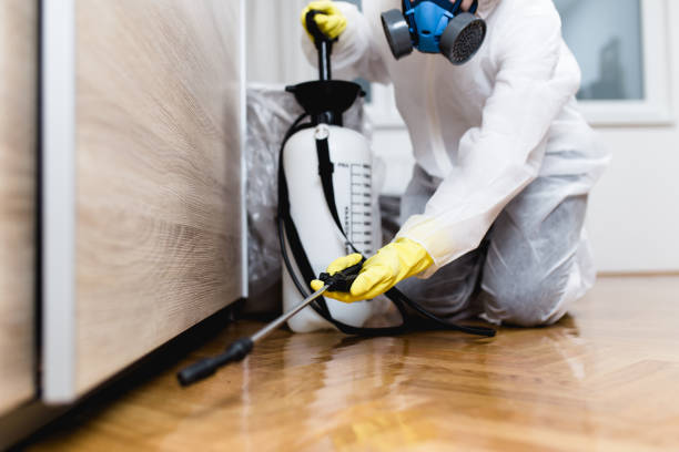 Best Commercial Pest Control Services  in Bloomingdale, GA